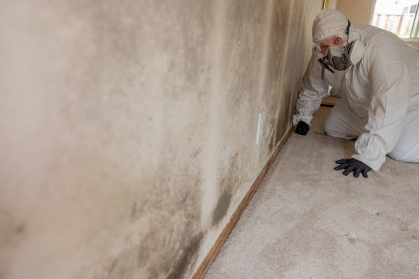 Best Mold Remediation for Healthcare Facilities  in Forest Glen, MD