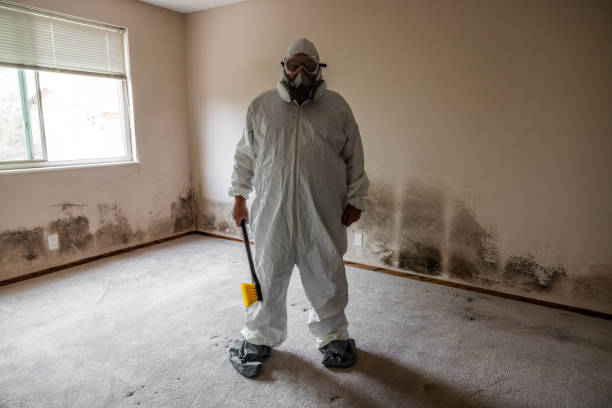 Best Commercial Mold Inspection  in Forest Glen, MD