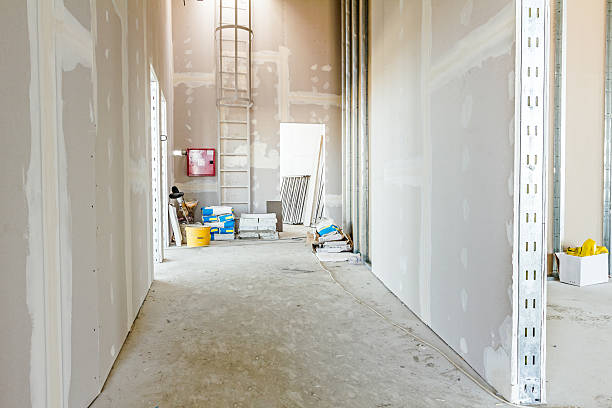 Best Mold Odor Removal Services  in Forest Glen, MD