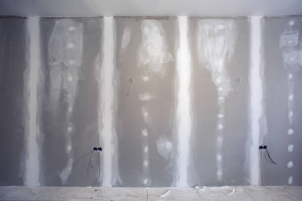 Best Black Mold Removal  in Forest Glen, MD